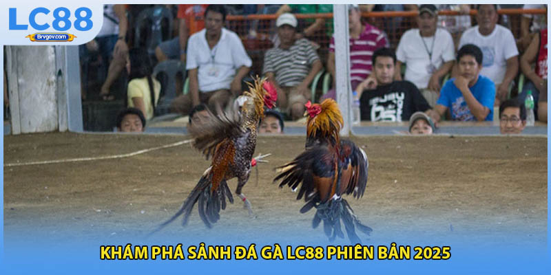 Khám phá sảnh đá gà LC88 phiên bản 2025